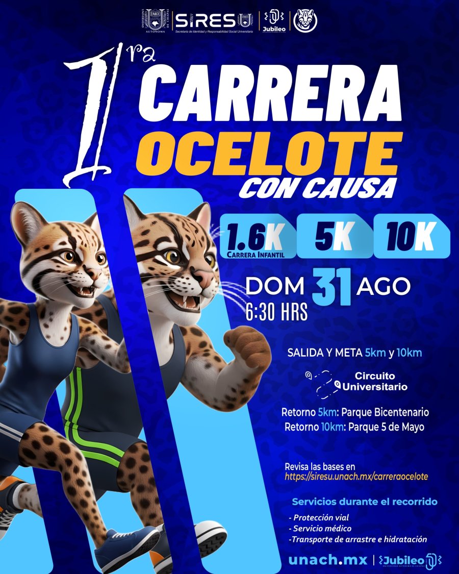 CARRERA OCELOTE 2025